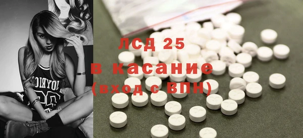 прущие грибы Новозыбков