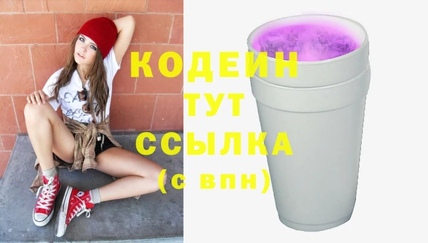 прущие грибы Новозыбков