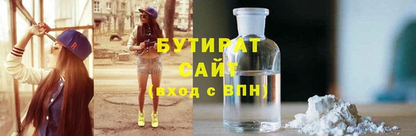 прущие грибы Новозыбков