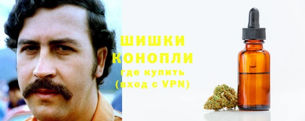 крисы Новокубанск