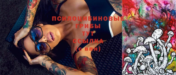 mdma Новодвинск