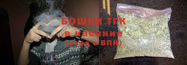 прущие грибы Новозыбков