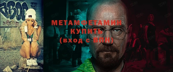 прущие грибы Новозыбков