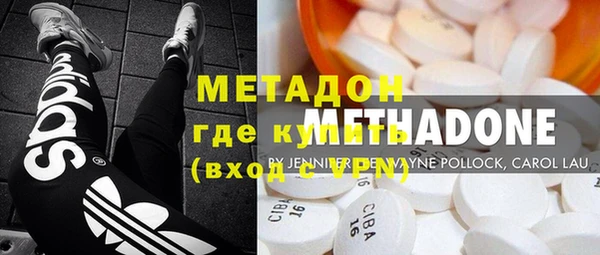 прущие грибы Новозыбков