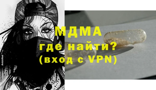 прущие грибы Новозыбков